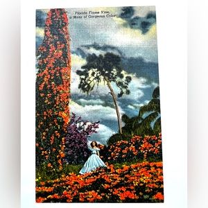Florida Flame Vine, Cypress Gardens Vintage Linen Postcard Unposted